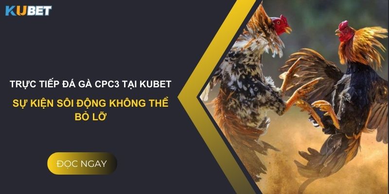 Trực tiếp đá gà CPC3 tại Kubet: Sự kiện sôi động không thể bỏ lỡ