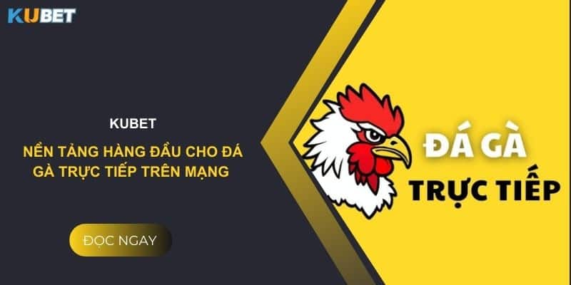 Kubet - Nền tảng hàng đầu cho đá gà trực tiếp trên mạng 