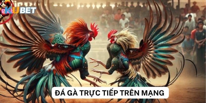 An toàn và bảo mật khi xem đá gà trực tiếp trên mạng tại Kubet