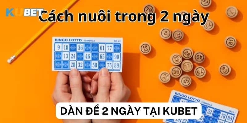 Cách tính dàn đề nuôi 2 ngày tại Kubet