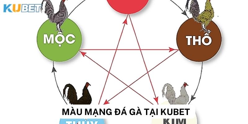 Chiến thuật đánh màu mạng gà đá hiệu quả