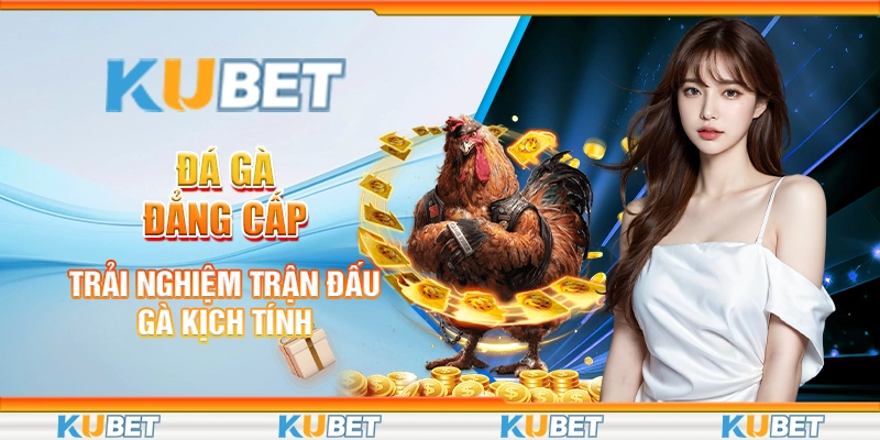 Đá gà đẳng cấp