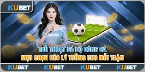 Thủ Thuật Cá Độ Bóng Đá