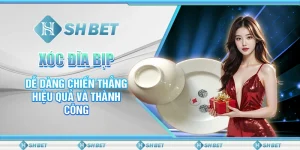 Xóc đĩa bịp