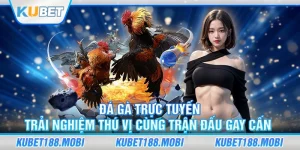 Đá Gà Trực Tuyến