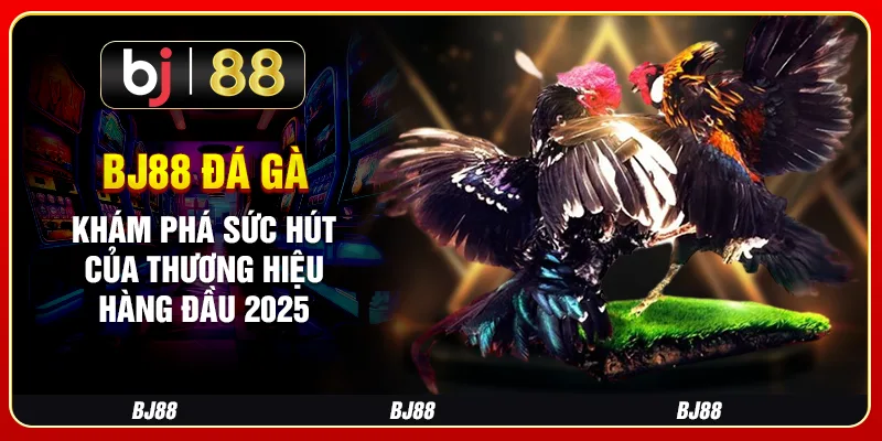 Bj88 Đá Gà – Khám Phá Sức Hút Của Thương Hiệu Hàng Đầu 2025